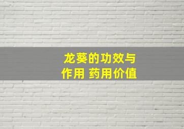 龙葵的功效与作用 药用价值